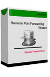 Reverse Port Forwarding Software
